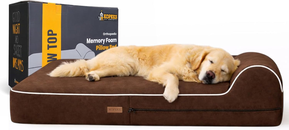 Brown XL orthopedic memory foam dog bed with pillow