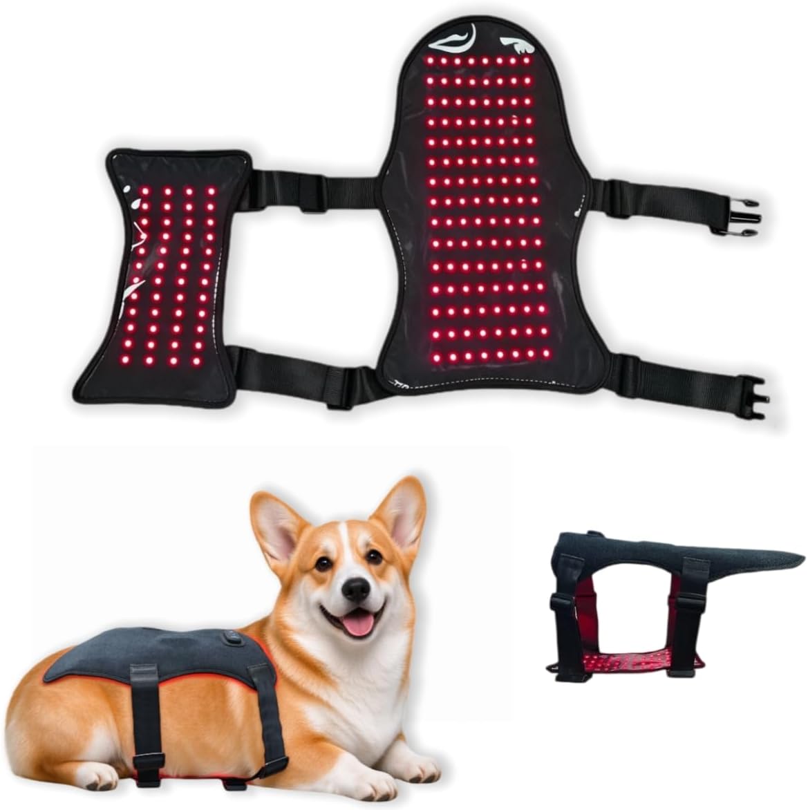 Dog wearing a red light vest with 660nm and 850nm light panels