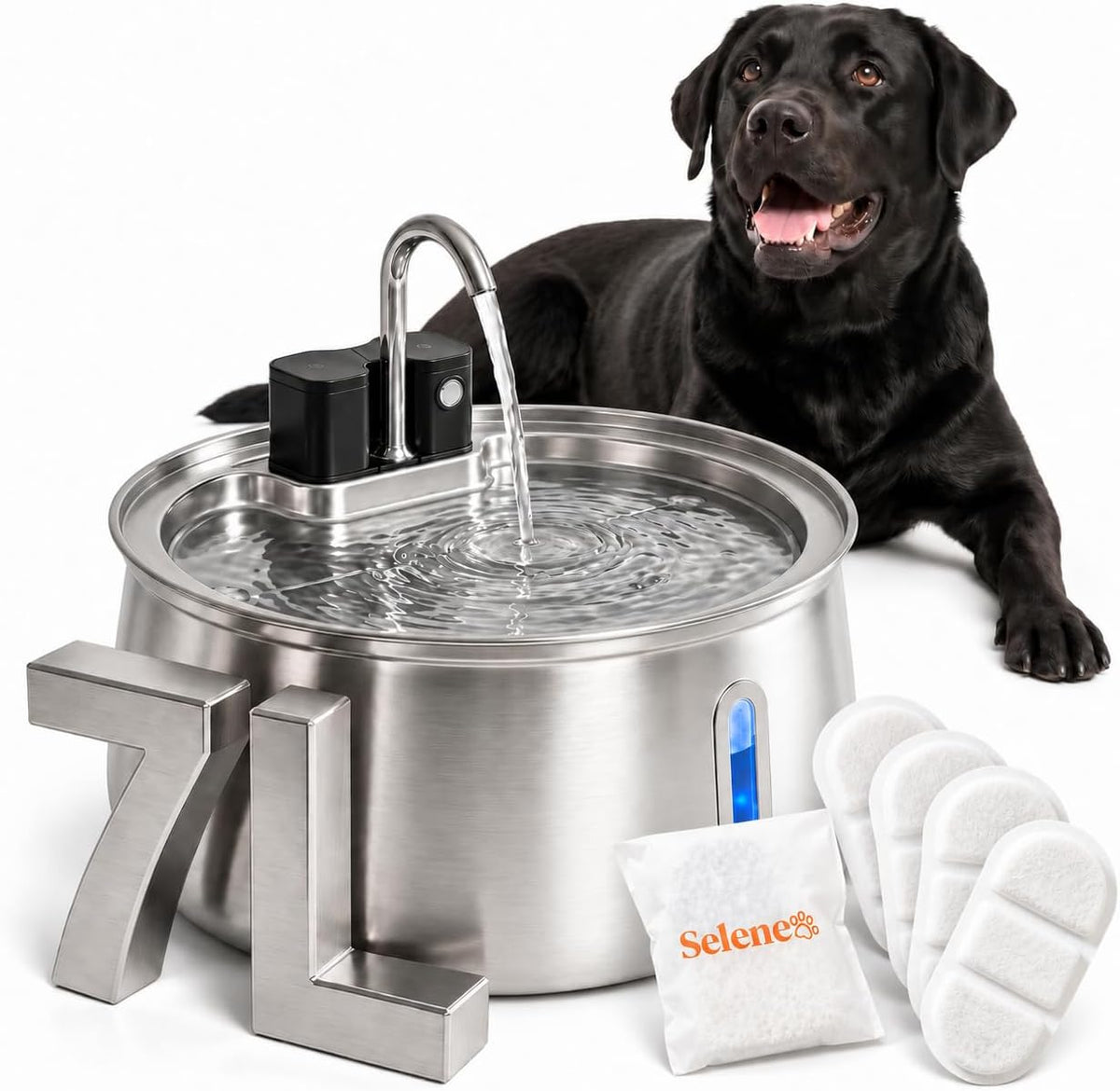 Cordless 7 liter stainless steel dog water fountain with filters