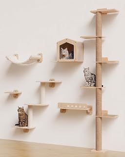 Cat Wall Shelves and Tall Cat Tree for Wall