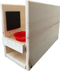 Adjustable Elevated Cat Feeding Stall with Head Bumper Pads, Support Stand for Wobbly Cats