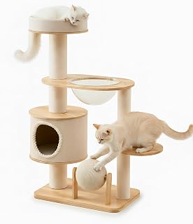 Cat Activity Furniture with Integrated Nest and Scratching Frame
