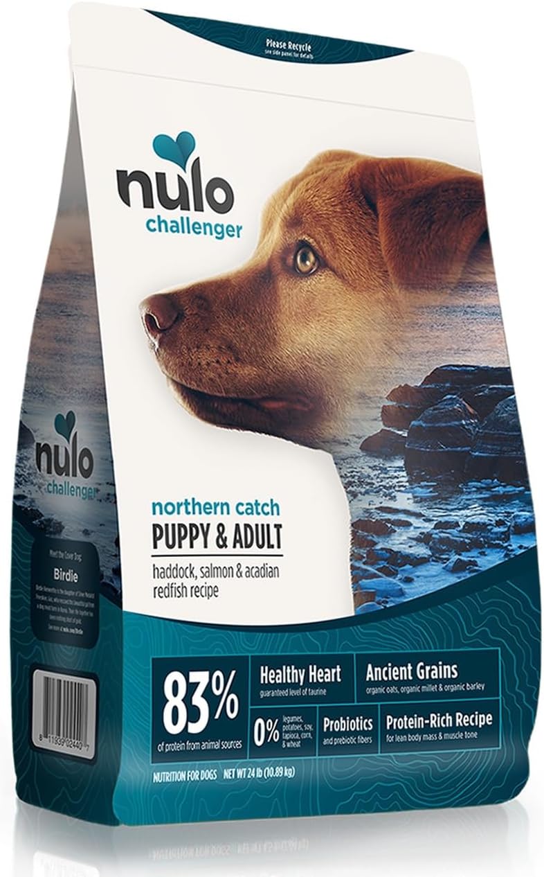 24 lb bag of northern catch recipe ancient grain dry dog food