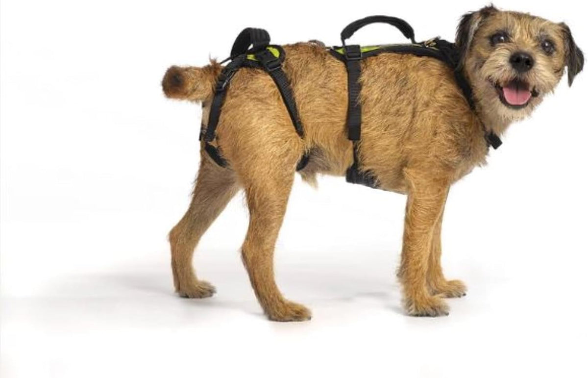 Full support dog lift harness with front and rear sections and back handles – view 4