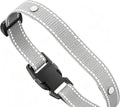 Dog collar fence receiver collar
