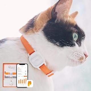 LavvieTAG Smart ID Tag for Cats with 2 Straps, Activity Tracker, App Integration, 0.01 lbs