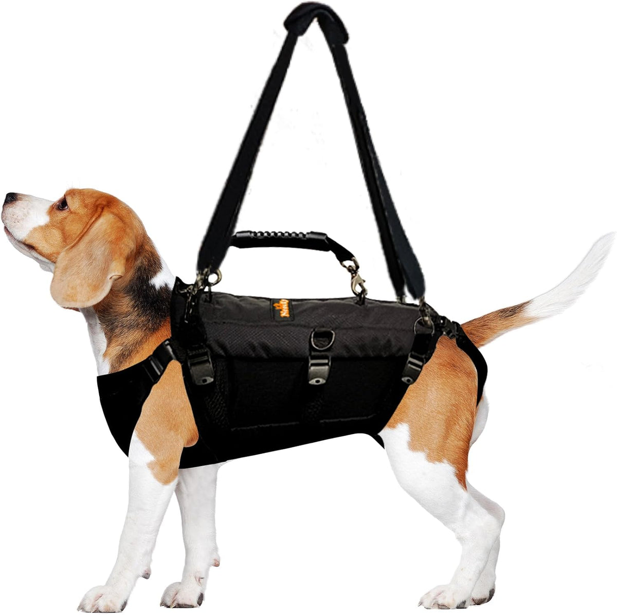 Full body dog lift harness with handles on a large dog