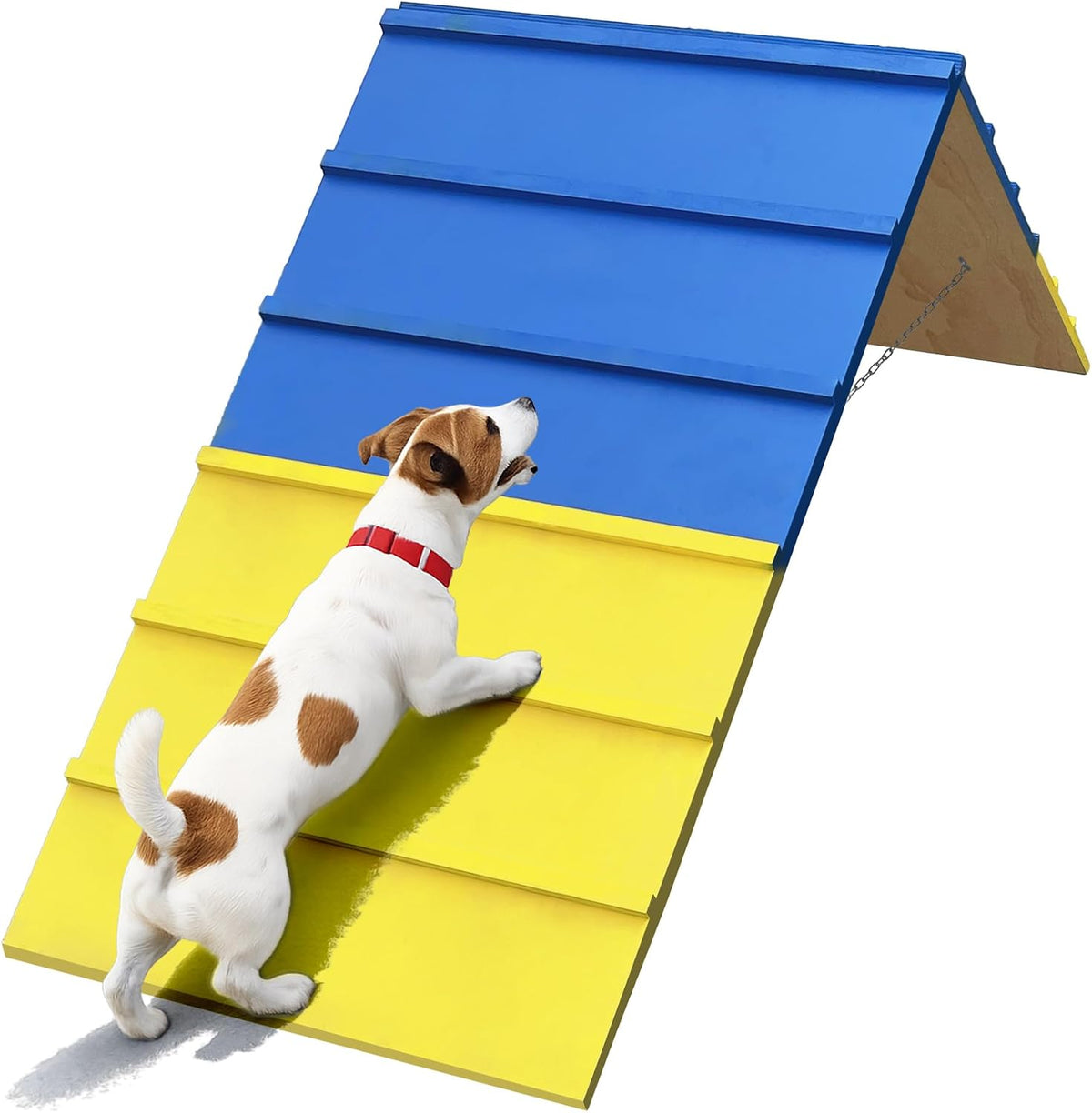 Dog agility A-frame climbing ramp set up on a backyard lawn