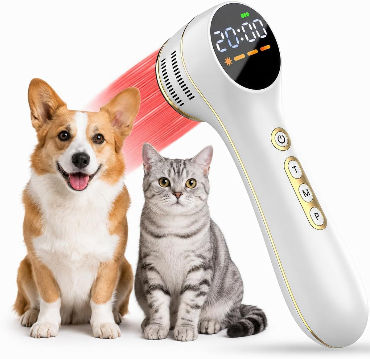White handheld red and infrared light device with charging cable