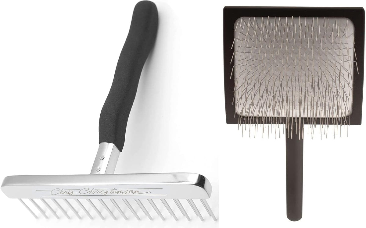 Stainless steel bathing T-rake next to a large slicker dog brush