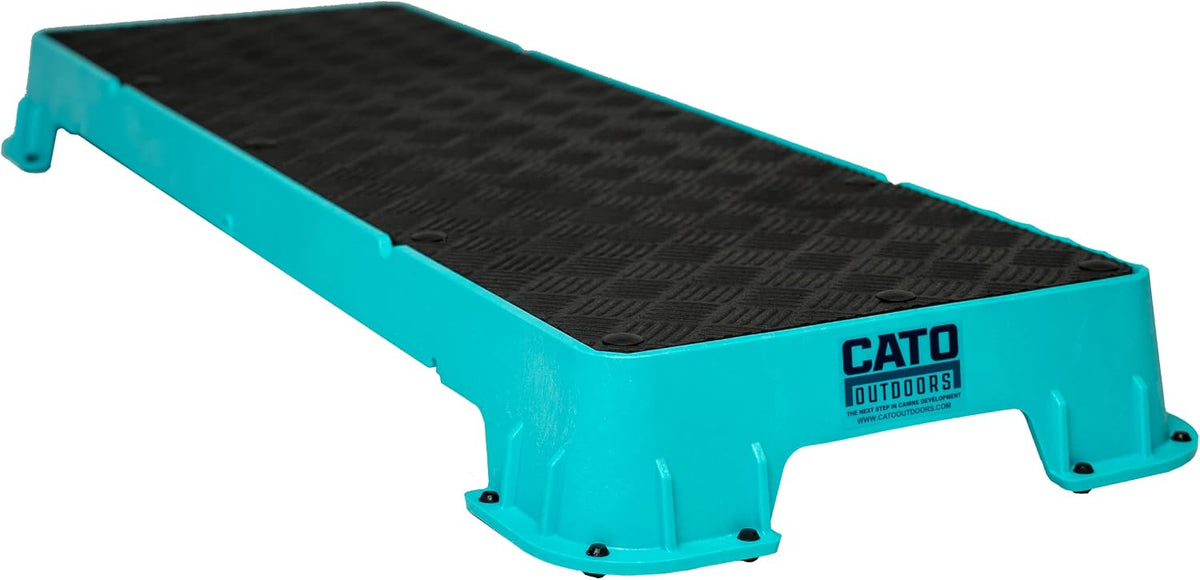 Teal XL dog training platform board resting on a tilt stand – view 8