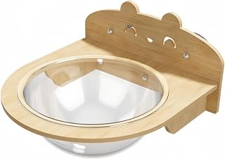 Wall-Mounted Window Cat Perch, Space-Saving, for Glass Panes