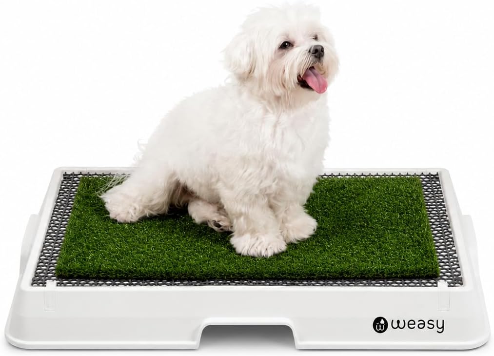 Small indoor dog potty tray with synthetic grass surface and drain hose