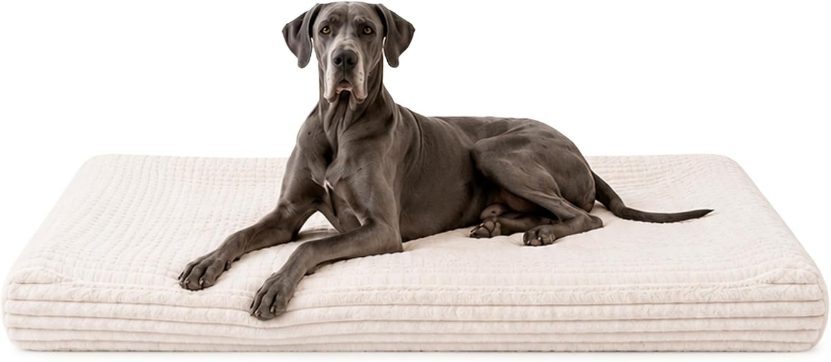 Giant ivory recliner dog bed with orthopedic foam base