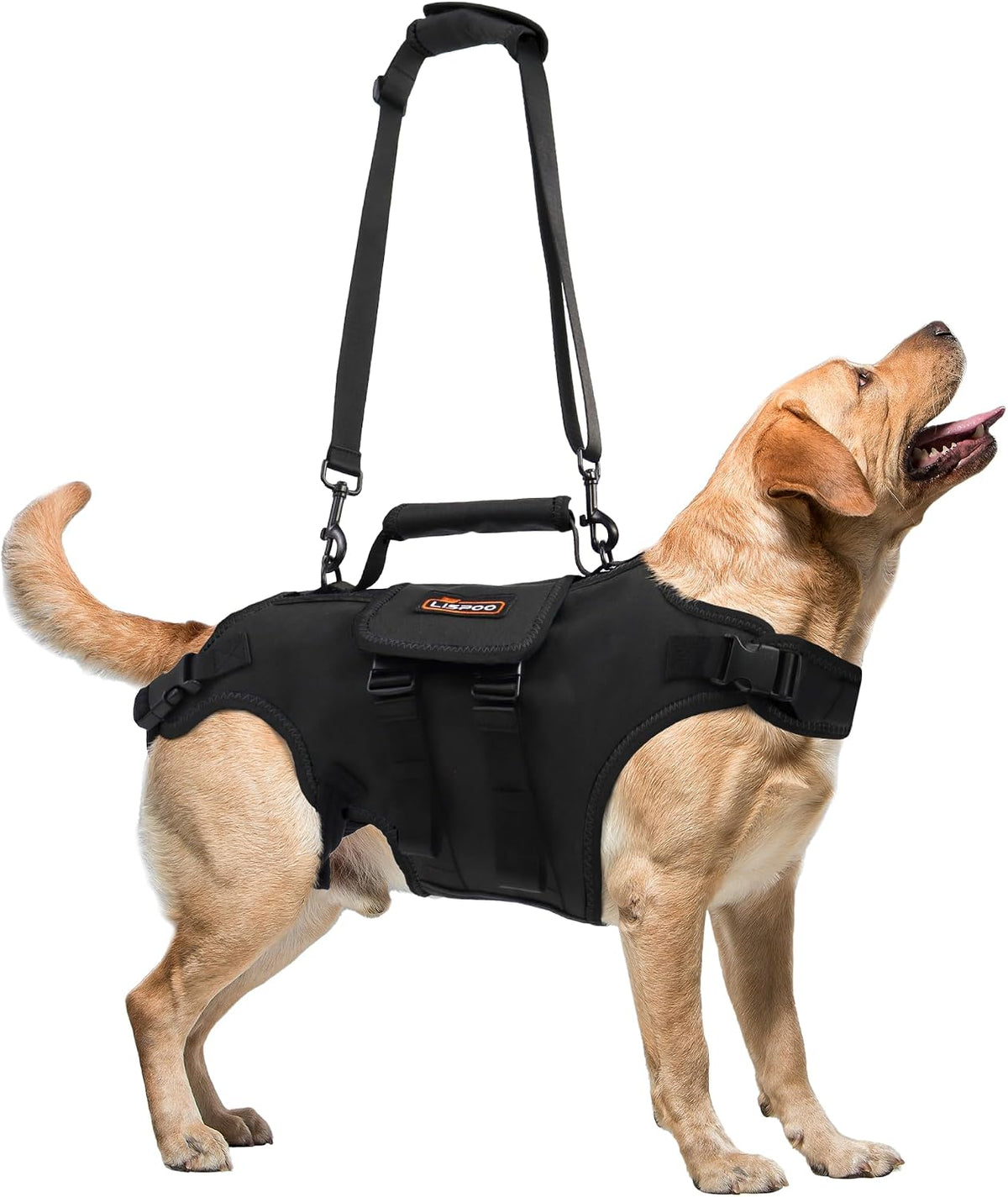 Full body Oxford cloth lift harness with adjustable handle on a senior dog