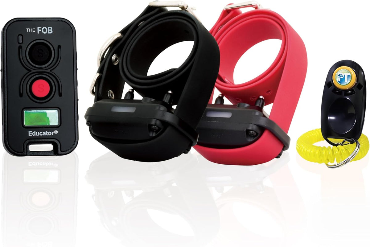 Remote dog training collar set with handheld transmitter and hands-free button – view 3