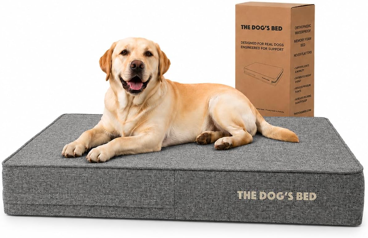 Grey linen 6 inch orthopedic memory foam dog bed for large dogs