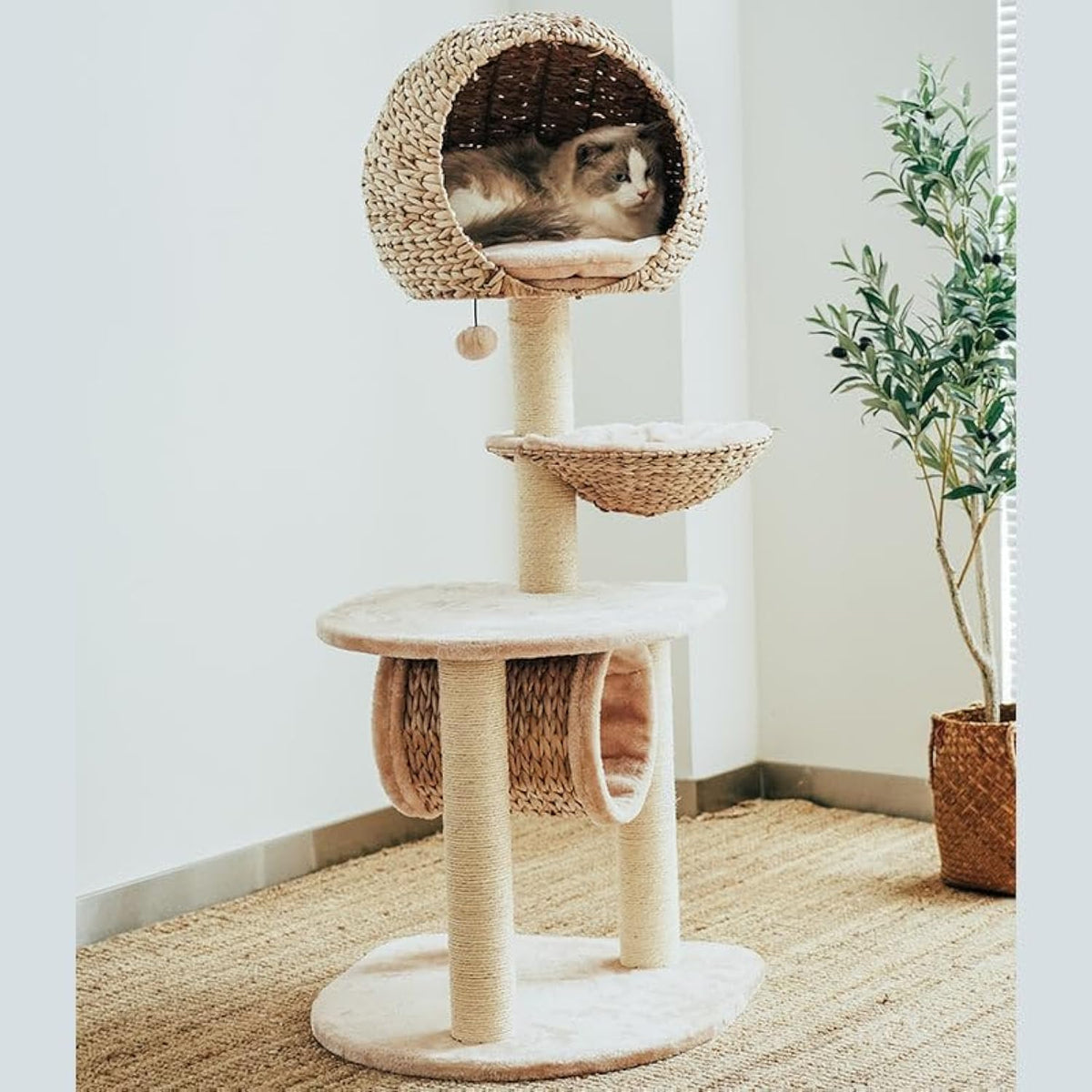51 inch rattan cat tree with bird nest bed and condo