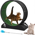47.2 inch indoor cat exercise wheel with carpeted runway – view 4
