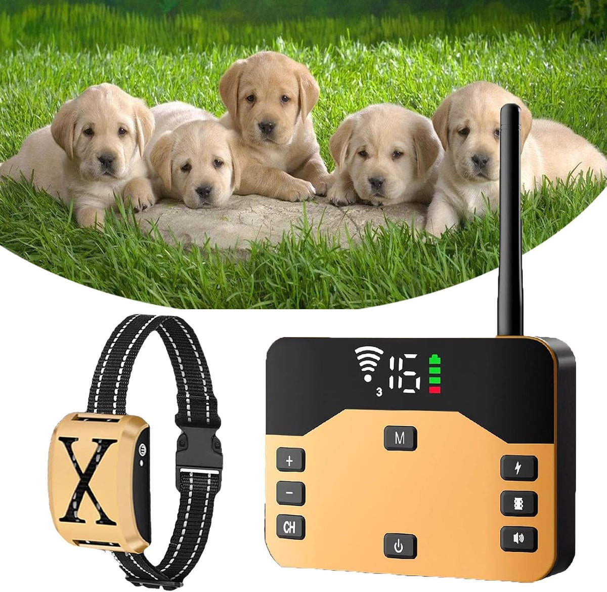 Wireless dog fence transmitter with three waterproof training collar receivers – view 3