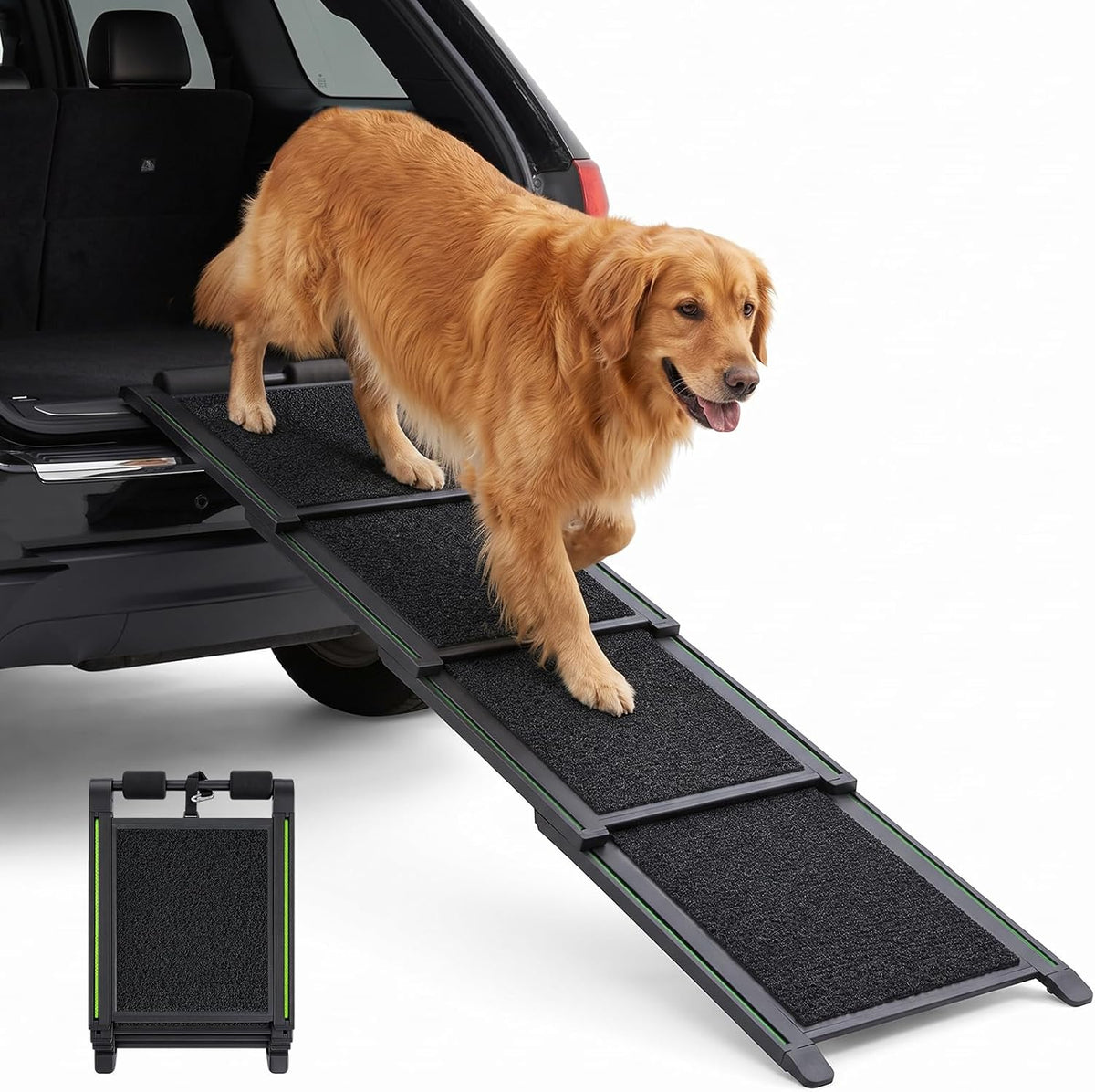 Telescoping dog ramp leading into a car with a carry handle