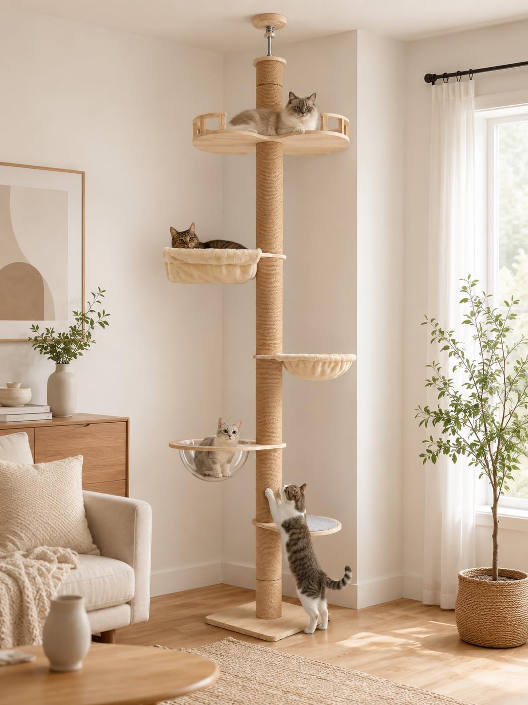Minimalist floor to ceiling cat tree with clear bowl perch and hammock