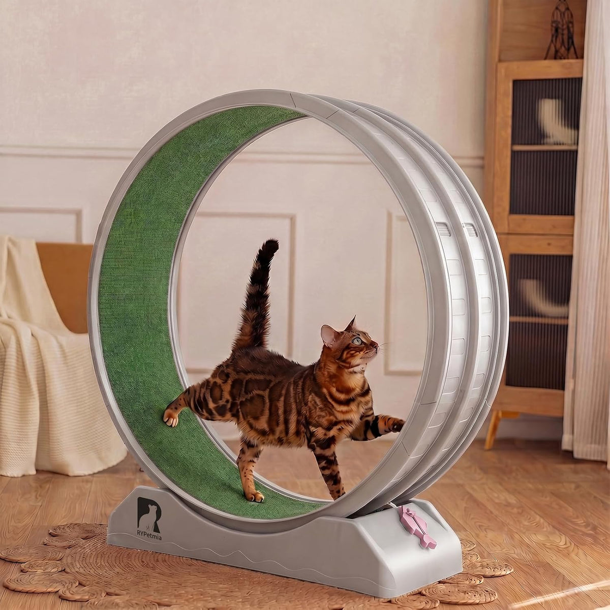 47.2 inch indoor cat exercise wheel with carpeted runway – view 6