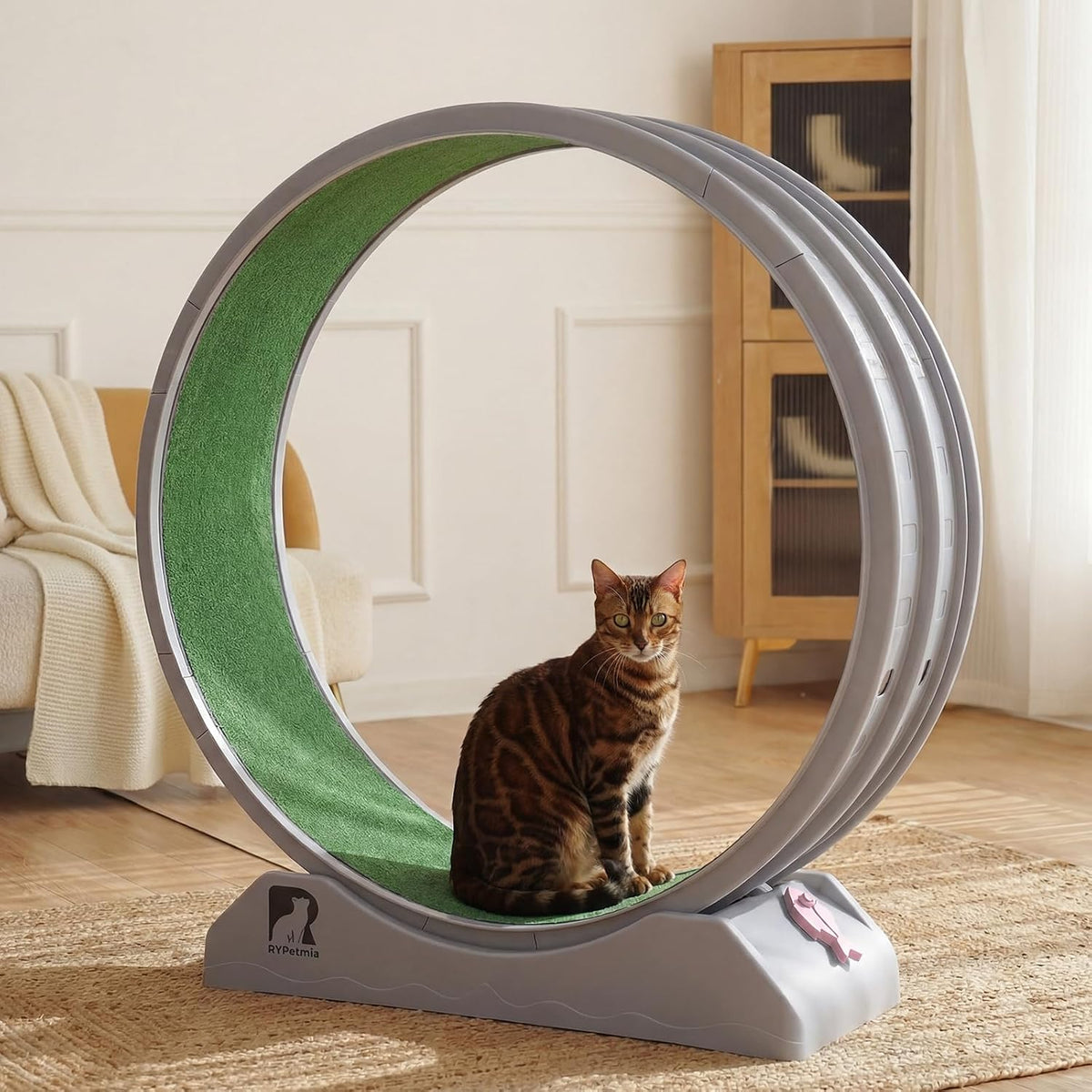 47.2 inch indoor cat exercise wheel with carpeted runway – view 5
