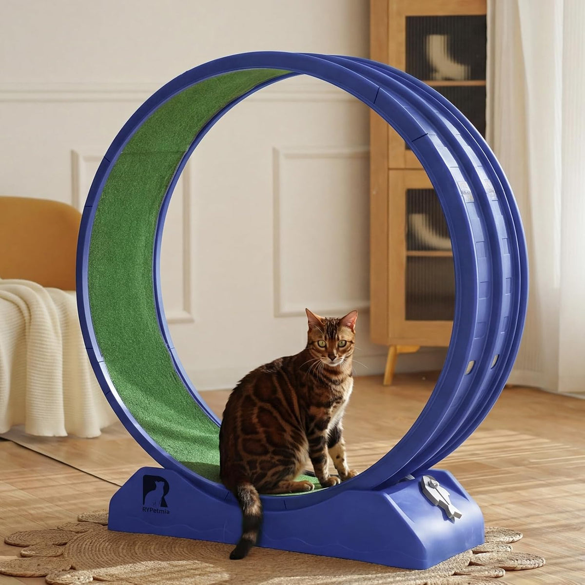 47.2 inch indoor cat exercise wheel with carpeted runway – view 8