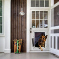 Large door-mounted pet door with flap