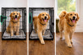 Smart dog crate door opener mounted on a black metal wire crate