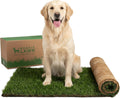 XL real grass dog potty patch in a plastic tray, 48 by 24 inches – view 3