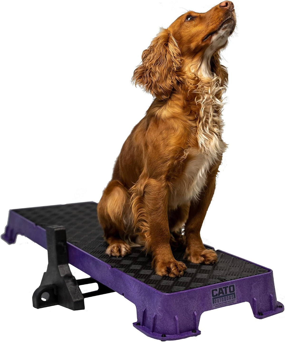 Teal XL dog training platform board resting on a tilt stand – view 7
