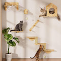 Wooden cat wall shelves with clear capsule pod and bed