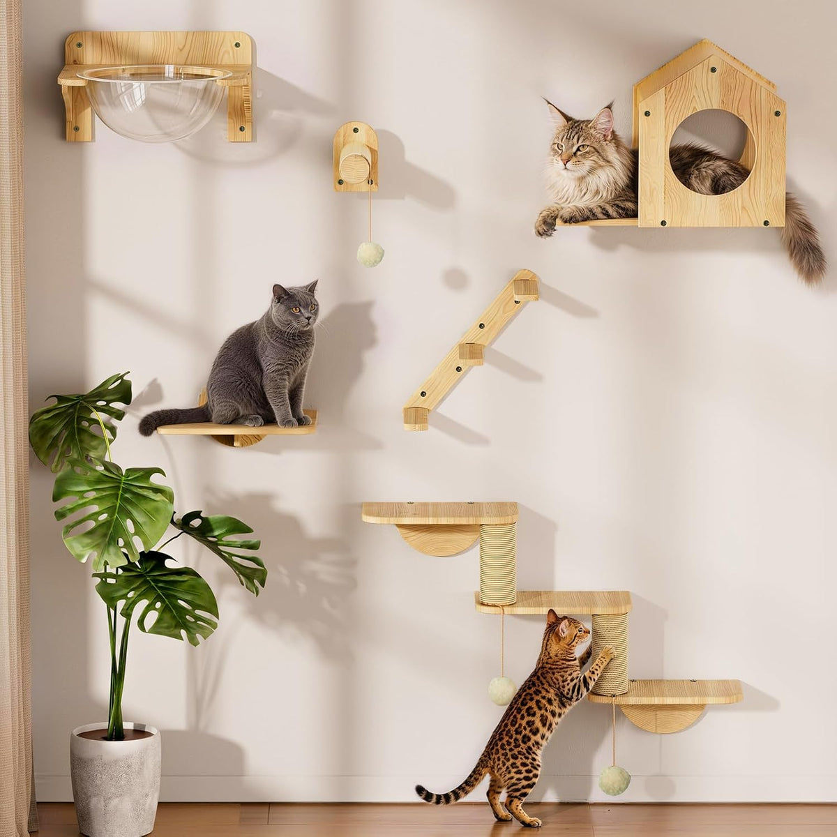 Wooden cat wall shelves with clear capsule pod and bed