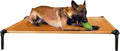 Large sunset gold place training dog bed