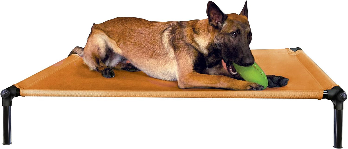 Large sunset gold place training dog bed
