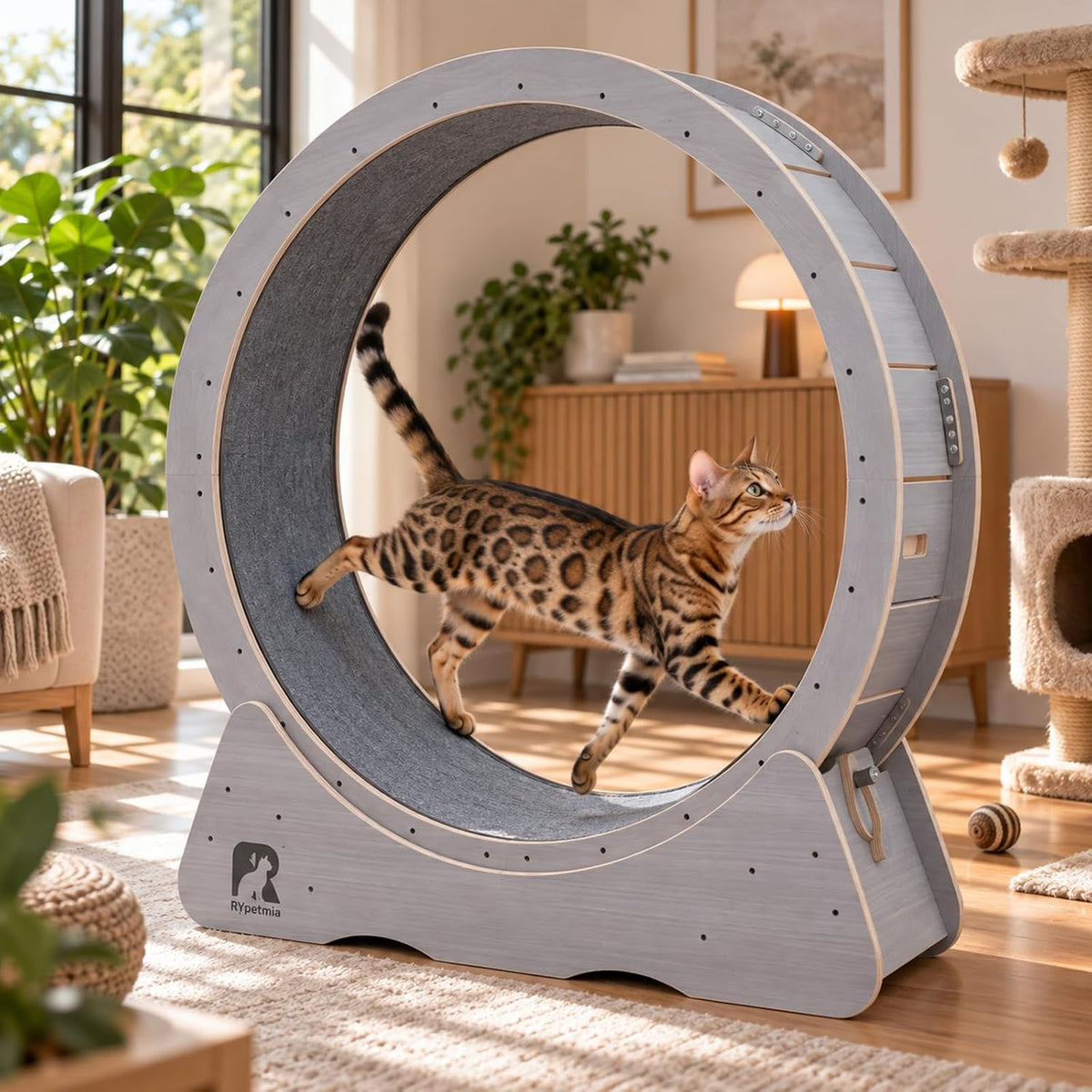 Large 43 inch cat exercise running wheel on a stable base – view 2