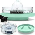 Brook Glass Cat Water Fountain with Green Stand Bundle