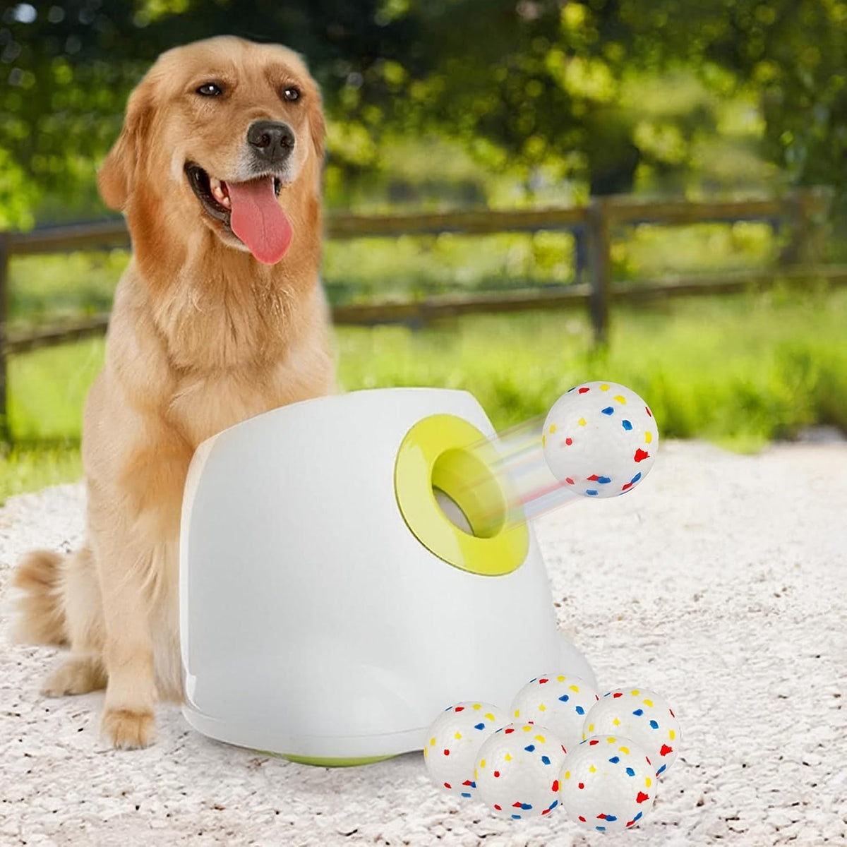 Automatic dog tennis ball launcher with a ball loaded in the top – view 3