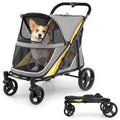 Four-wheel dog stroller with brake carrying a small dog