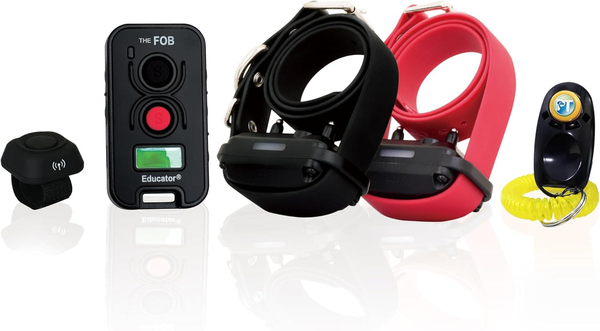 Remote dog training collar set with handheld transmitter and hands-free button – view 2