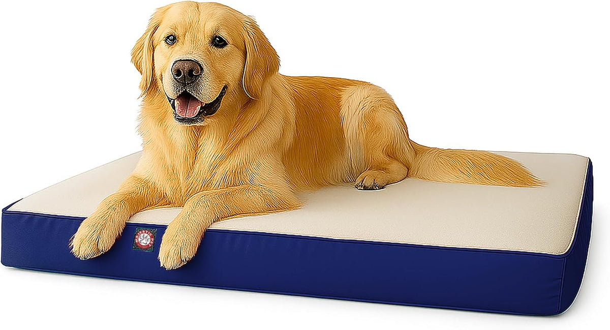 Black rectangle orthopedic memory foam crate dog bed, 48 by 34 inches – view 2