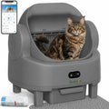 Gray open top self-cleaning litter box with litter mat