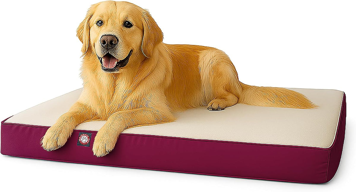 Black rectangle orthopedic memory foam crate dog bed, 48 by 34 inches – view 11
