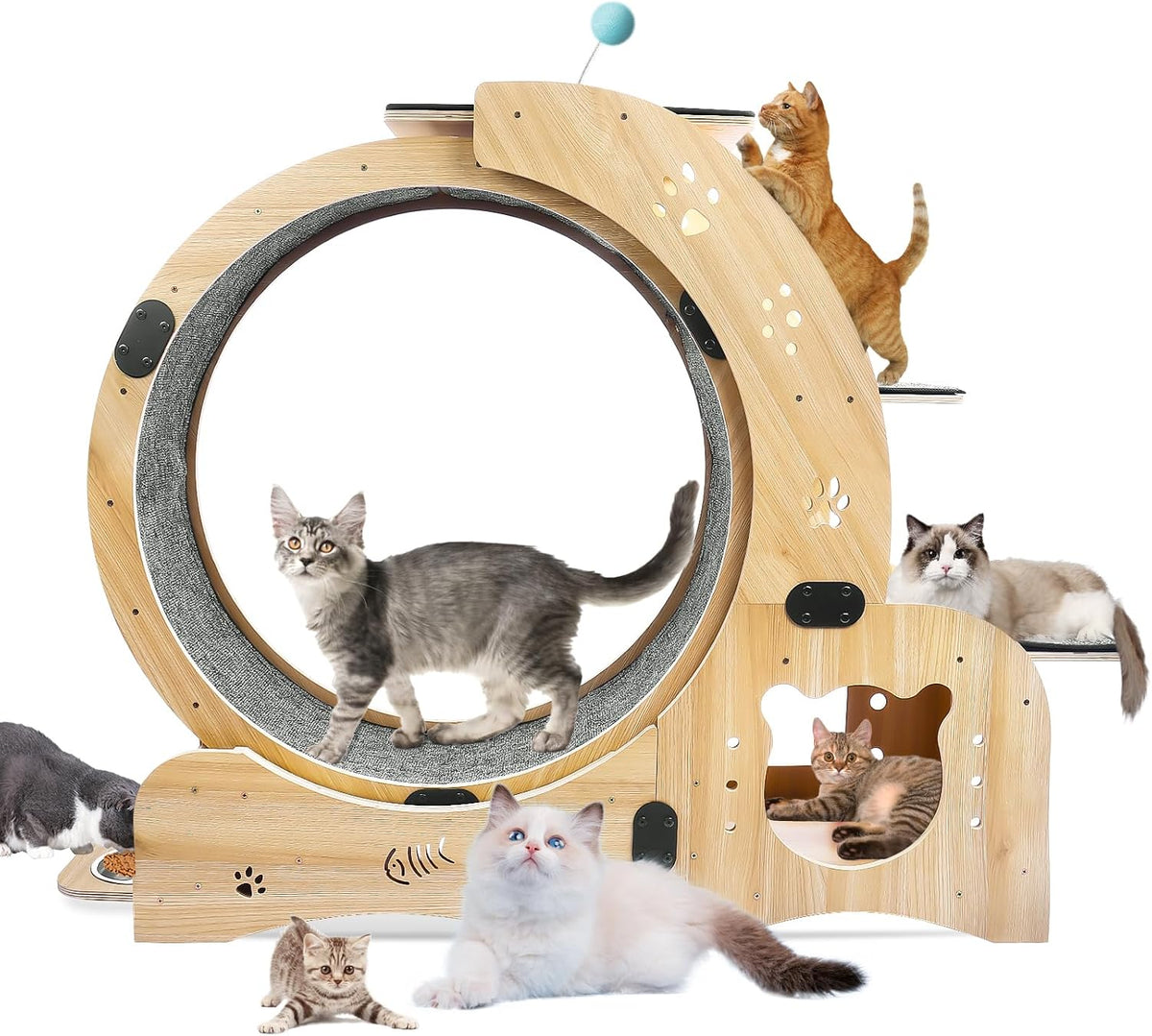 55-inch wooden cat running wheel with climbing frame and shuttle box