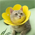 Flower-Shaped Protective Recovery Cone Collar for Kittens and Puppies