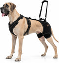 Dog hip support brace with front harness and handle lift strap