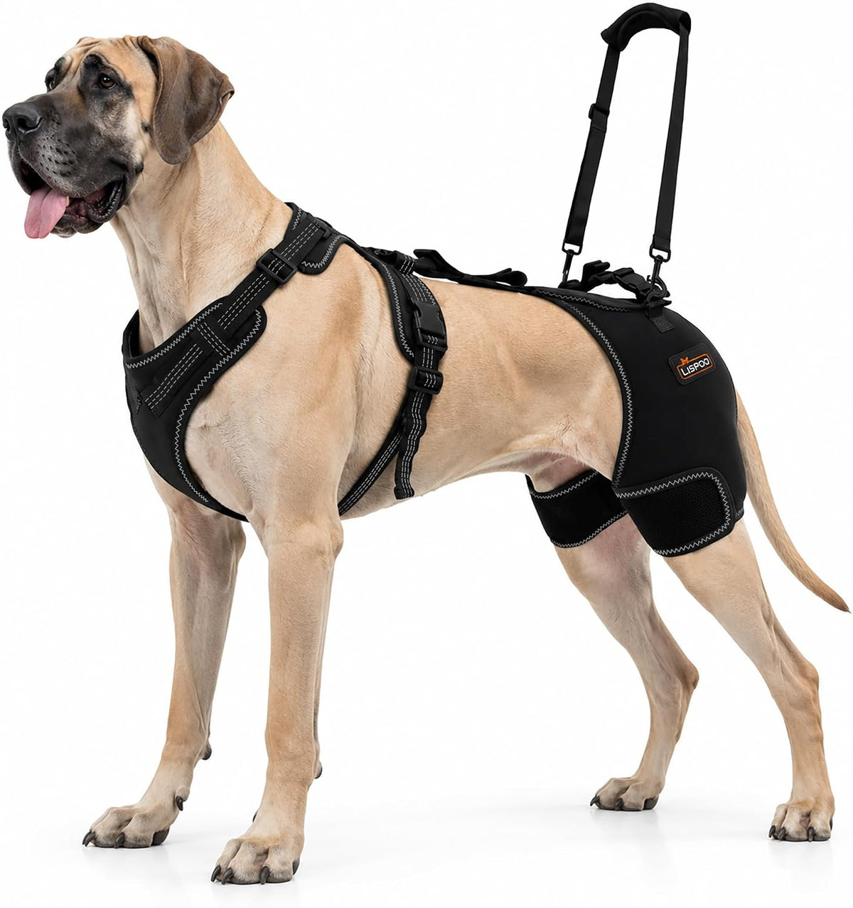 Dog hip support brace with front harness and handle lift strap