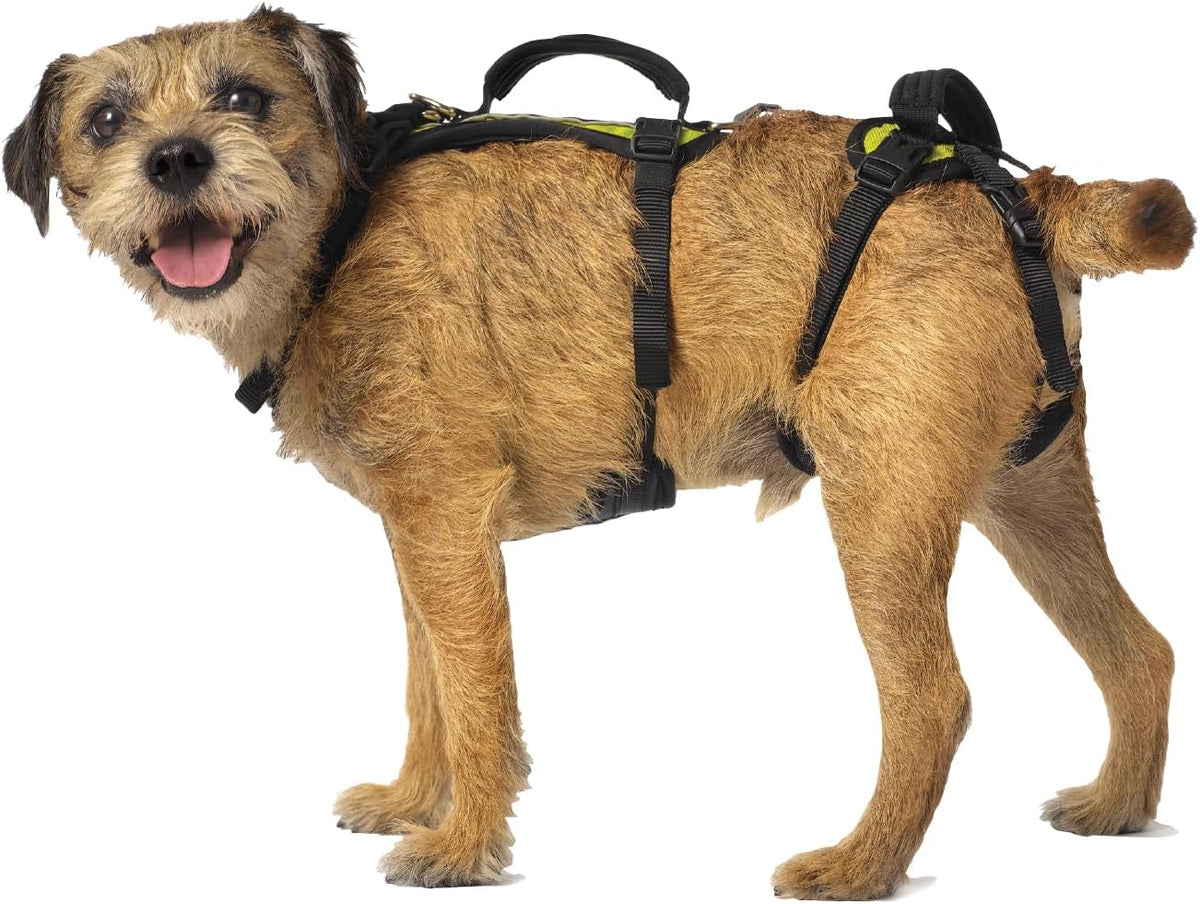 Full support dog lift harness with front and rear sections and back handles – view 3